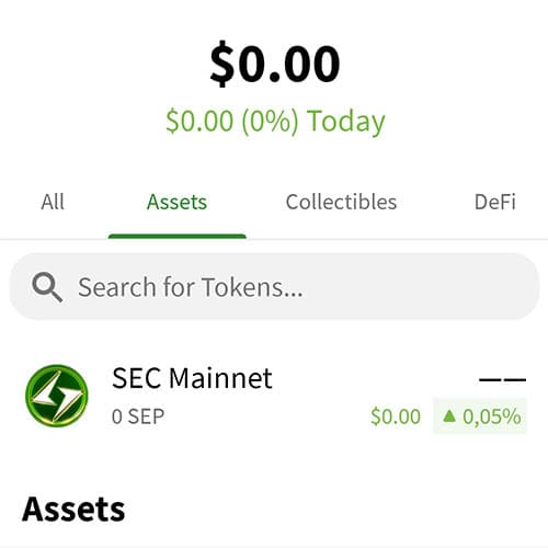 Wallet Management Interface
